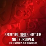 Elegant Ape, Gabriel Montufar - Not Forgiven (Anton Ishutin Remix)