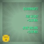 Blooddropz - In My Dreams (Original Mix)