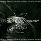 Nari, Steve Tosi - Stars Song 45 (Original Mix)