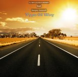 DJ Shulis aka Sergey & Sergey Insaroff - Type Of Way ( Orginal Mix )