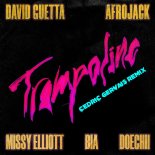 David Guetta & Afrojack Feat. Missy Elliott, BIA & Doechii - Trampoline (Cedric Gervais Remix)
