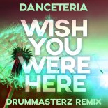 Danceteria - Wish You Were Here (DrumMasterz Radio Edit)