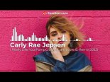 Carly Rae Jepsen - I Really Like You (PumpCrazy & Dancecore B. Remix)