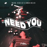 NALYRO, Stash List & Edward Snellen - Need You (Orginal Mix)