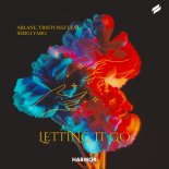 Arlane, TrisTunez Feat. Sergi Yaro - Letting It Go