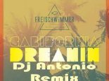 Freischwimmer - California Dreamin (Dj Antonio Remix)