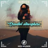 SURVIVE - Oriental Atmosphere (Orginal Mix)
