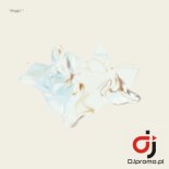 LEMON - Ptaki (Radio Edit)