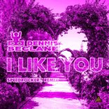 Dennis SecLane - I Like You (Speedrockerz Remix)