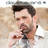 David Tavare - Dolce Vita (Radio Mix)