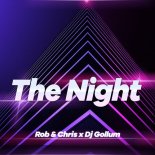 Rob & Chris x Dj Gollum - The Night