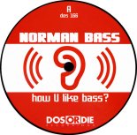 Norman Bass ‎- How U Like Bass (Warp Brothers Club Mix)