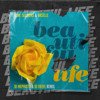 Dual Sessions & Urselle - Beautiful life (Dj Mephisto & Dj Dr1ve Radio Edit)