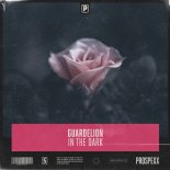Guardelion - In The Dark
