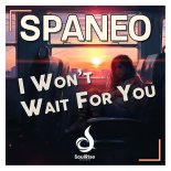 Spaneo - I Won't Wait For You (Extended Mix)