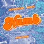 Marshmello, Khalid & Alok - Numb (Alok Remix)