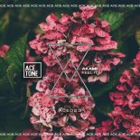 Akami - Feel It (Original Mix)