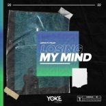 Larvik feat. Polar - Losing My Mind