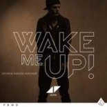 Avici vs  Mike Williams & Felix Jaehn - Wake Me Up Vs Lunar Vs Without You (Shawn Magda Mashup)