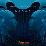 Damian Sarandeses & Cristoph - Crazy (Original Mix)