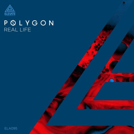 Polygon - Real Life