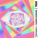 Jonasu feat. Karen Harding - True (Radio Edit)