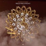 Wildvibes & MONROE - Wild Wild West