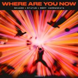 Skuado Feat. Stayus & Mert Harmankaya - Where Are You Now