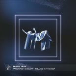 Pandapush & Solow - Rolling In The Deep