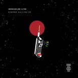 Irregular Live - Summer Calling (Original Mix)