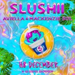Slushii Feat. Aviella & Mackenzie Sol - H8 December