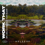 Mr. Belt & Wezol Feat. Tom Budin - Work That