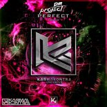 D.M. Project - Perfect (Radio Edit)