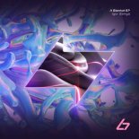 Igor Zanga - My House is your House (Extended Mix)