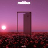 RYHOR - Missing (Radio Mix)