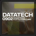 Sugartrane - A Little Something (Original Mix)