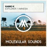Kaimo K  -  Explorer (Original Mix)