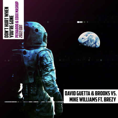 David Guetta & Brooks vs. Mike Williams ft. Brezy - Don't Hurt When You're Gone (Peekaboo & EDXX Mashup) (2022 Edit)