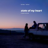 Surf Mesa - State Of My Heart