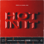 Tiësto & Charli XCX - Hot In It (Adrena Line & Shyia Remix)