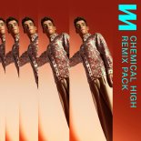 Lost Frequencies - Chemical High (Melsen Extended Remix )