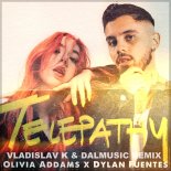 Olivia Addams & Dylan Fuentes - Telepathy (Vladislav K & DALmusic Radio Mix)