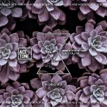 Nari, Steve Tosi - La Colita (Original Mix)