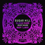 Sugar Hill, Ricky Valens feat. Ricky Valens - Black case (M0B Remix)