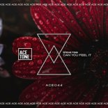 Steve Tosi - Can You Feel It (Original Mix)