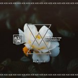 Nari, Steve Tosi - Impossible (Original Mix)