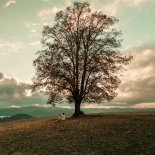 Arne - Miałem nie palić (prod. Ramzes)