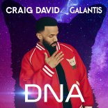 Craig David & Galantis - DNA (Extended Mix)
