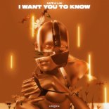 NaTe & LJAI - I Want You To know (Radio Mix)