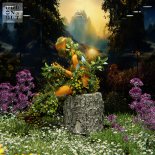 Yotto Feat. Booka Shade - Encounters (Extended Mix)